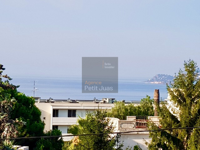 Image_2, Villa, Cannes, ref :AGSM2405