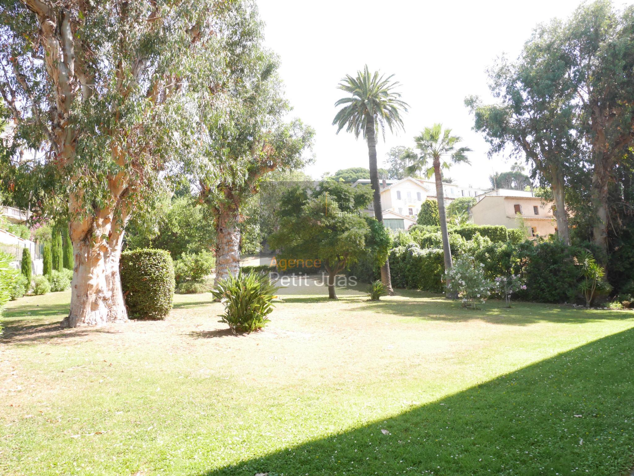 Image_1, Studio, Cannes, ref :1143