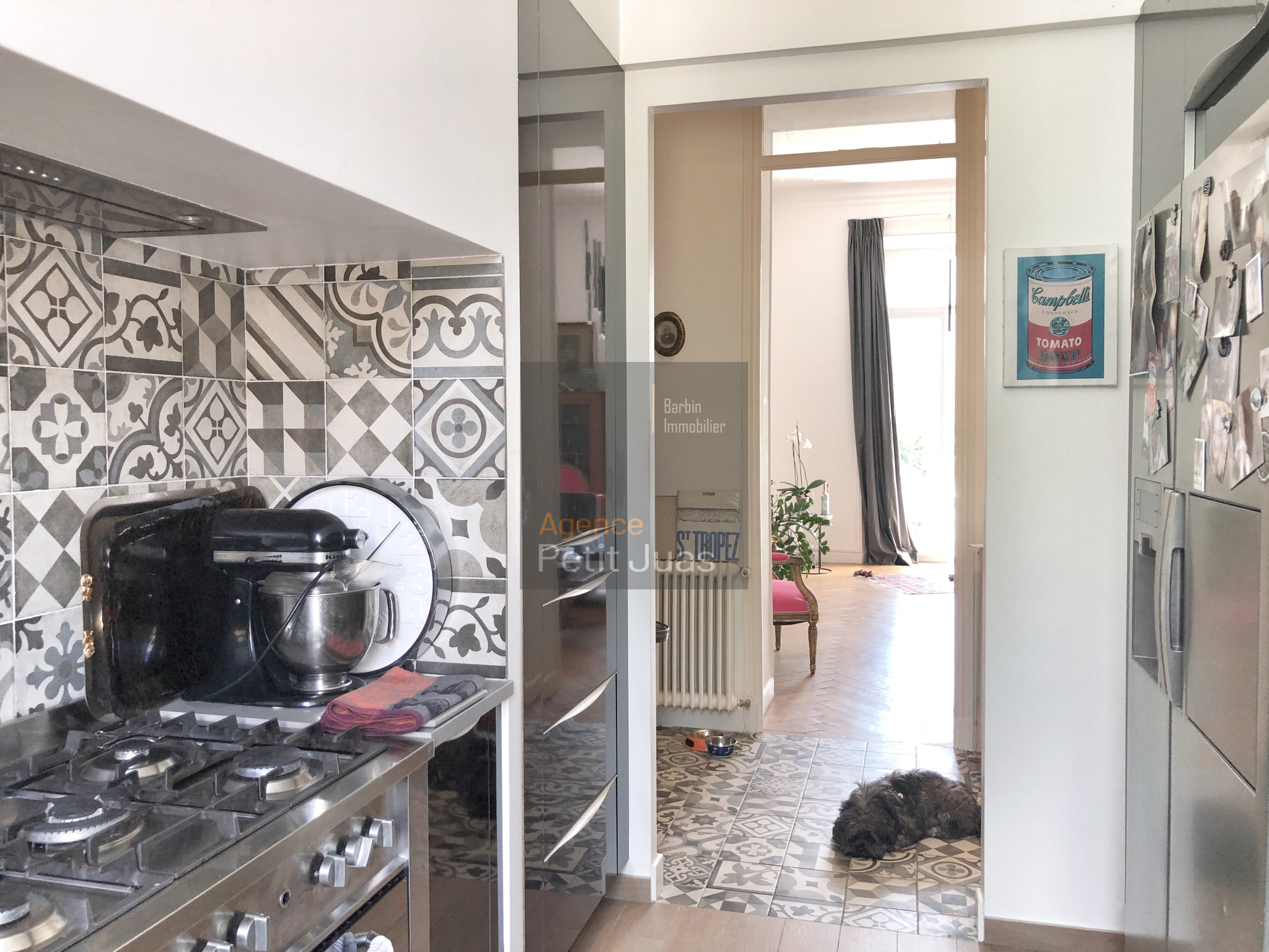 Image_7, Appartement, Cannes, ref :STV902