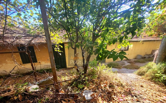 Image_4, Terrain, Cannes, ref :1089bis